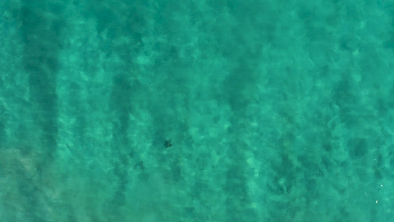 Overhead view of turquoise water in San Jose Del Cabo with visible sandy seabed texture, small dark underwater patches, and no visible people.