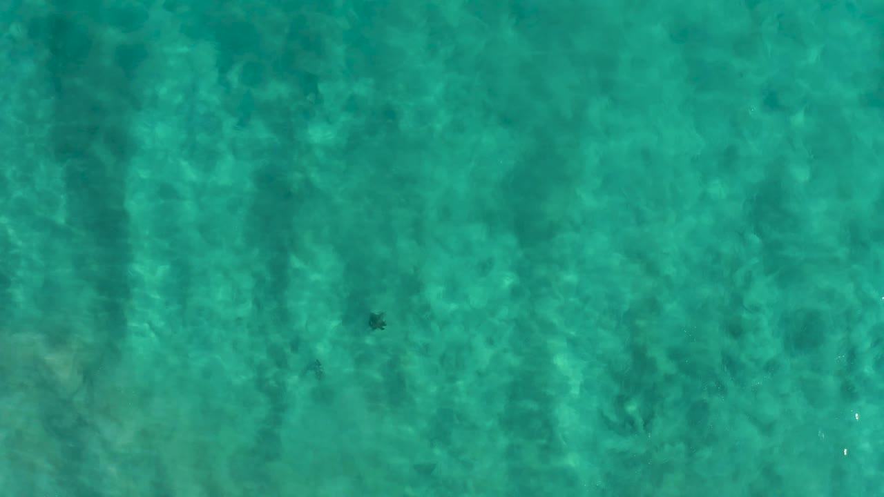 Top-down San Jose Del Cabo water frame with rippling turquoise surface light, mottled seabed patterns, and no visible people or boats.