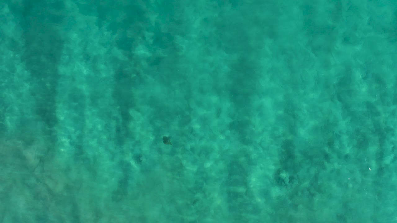 Aerial-style view of San Jose Del Cabo shallow water with darker underwater marks crossing the turquoise seabed field and no visible people.