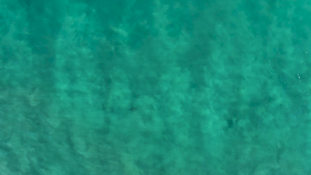 Clear green-blue water in San Jose del Cabo fills the frame, with mottled seabed shapes visible below and no visible people.