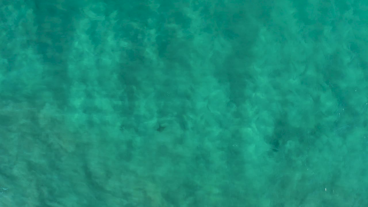 Shallow turquoise ocean water in San Jose del Cabo shows gentle ripples over darker sandy bottom patches, with no visible people.