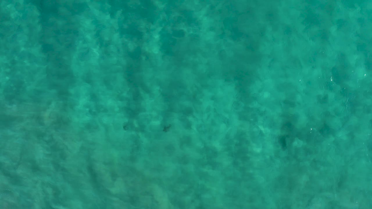 Overhead ocean water with visible seabed and shifting surface texture.