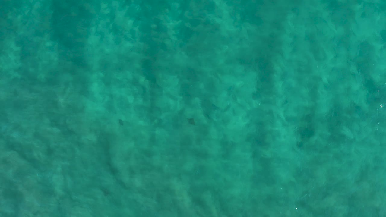 Clear turquoise ocean water in San Jose Del Cabo covers mottled seabed shapes, with small surface highlights and no visible people.