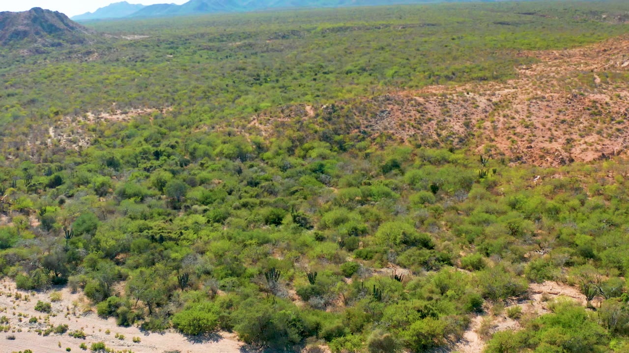 A high aerial view in Cabo Pulmo shows scrub-covered desert, a tan rocky slope to the right, darker green vegetation below, and distant blue mountains with no visible people.