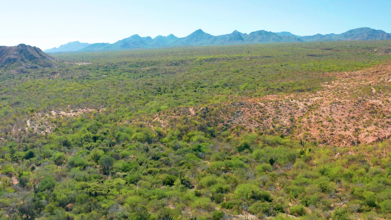 Wide aerial view of green desert valley and distant mountains