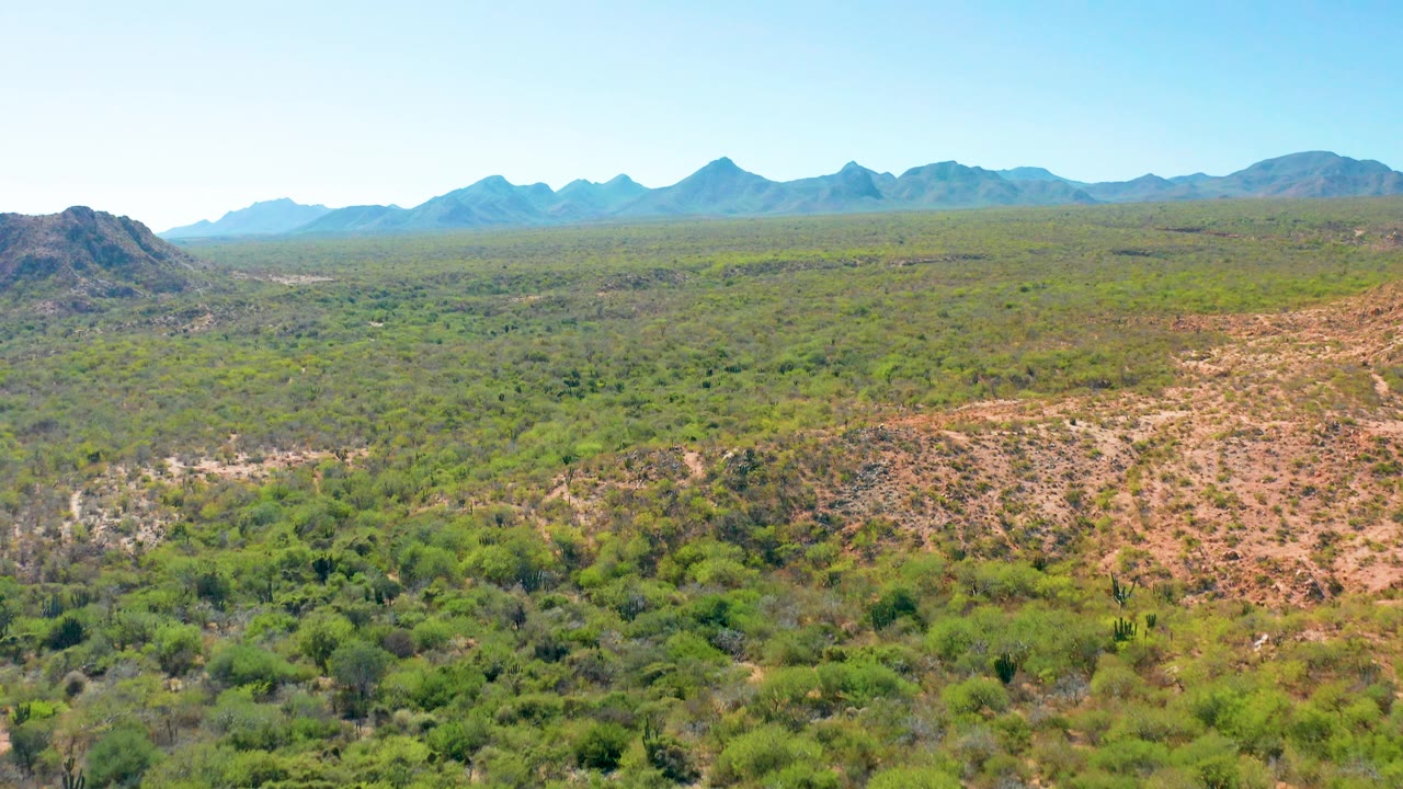 High, wide Cabo Pulmo frame looking over dense desert vegetation, pale rocky washes, distant mountain ridges, open sky, and no visible people.