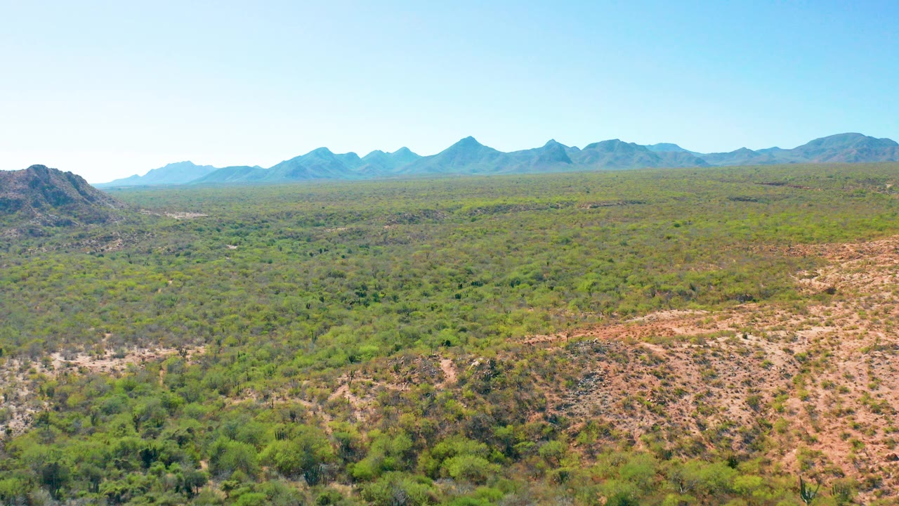 Opening aerial frame over Cabo Pulmo, Baja California Sur, with rocky foreground slopes, green scrub across the valley, distant mountains, clear blue sky, and no visible people.