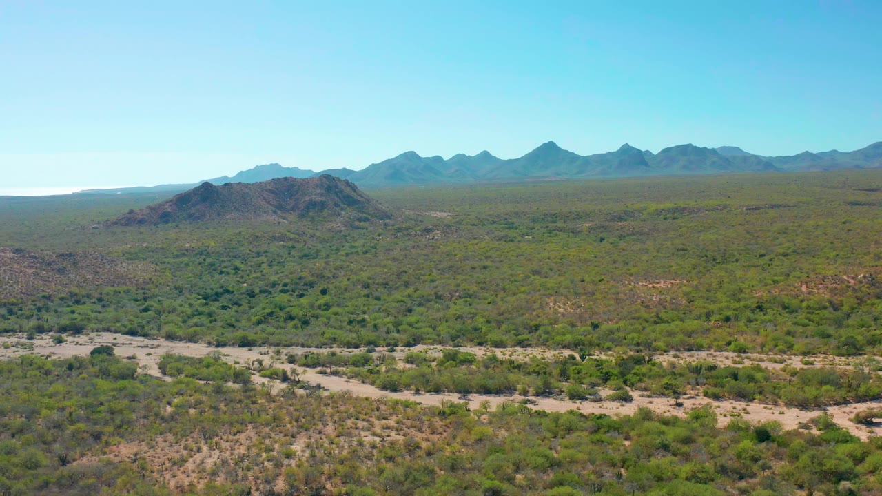 Aerial view in Cabo Pulmo showing sandy dry channels across the lower frame, dense green desert shrubs, a dark low hill, distant mountains, clear sky, and no visible people.