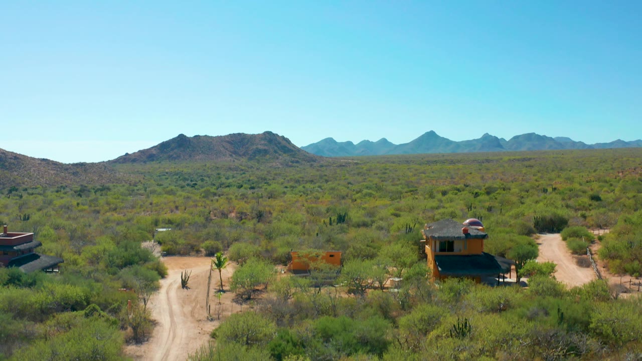 Cabo Pulmo aerial frame with a light dirt track curving through cactus and scrub, a dark cabin to the right, a small structure to the left, mountain backdrop, and no visible people.