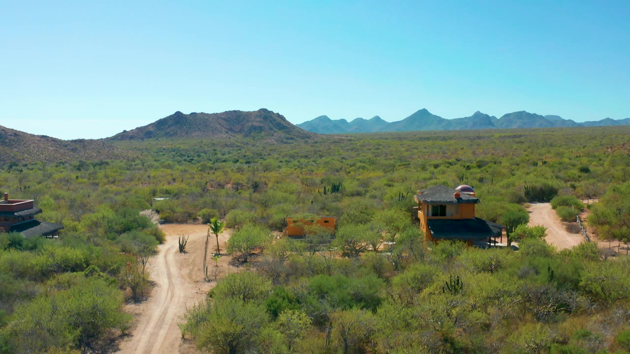 High desert view with dirt road, cabin roofs, cactus plants, scrub, and mountains.