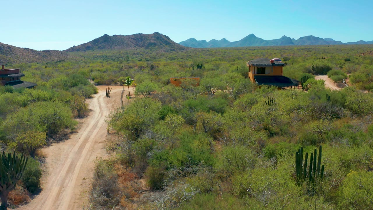 Aerial view in Cabo Pulmo, Baja California Sur with the dirt road centered lower in frame, green shrubs around it, cacti near the road, small buildings set back, mountains in the distance, and no visible people.