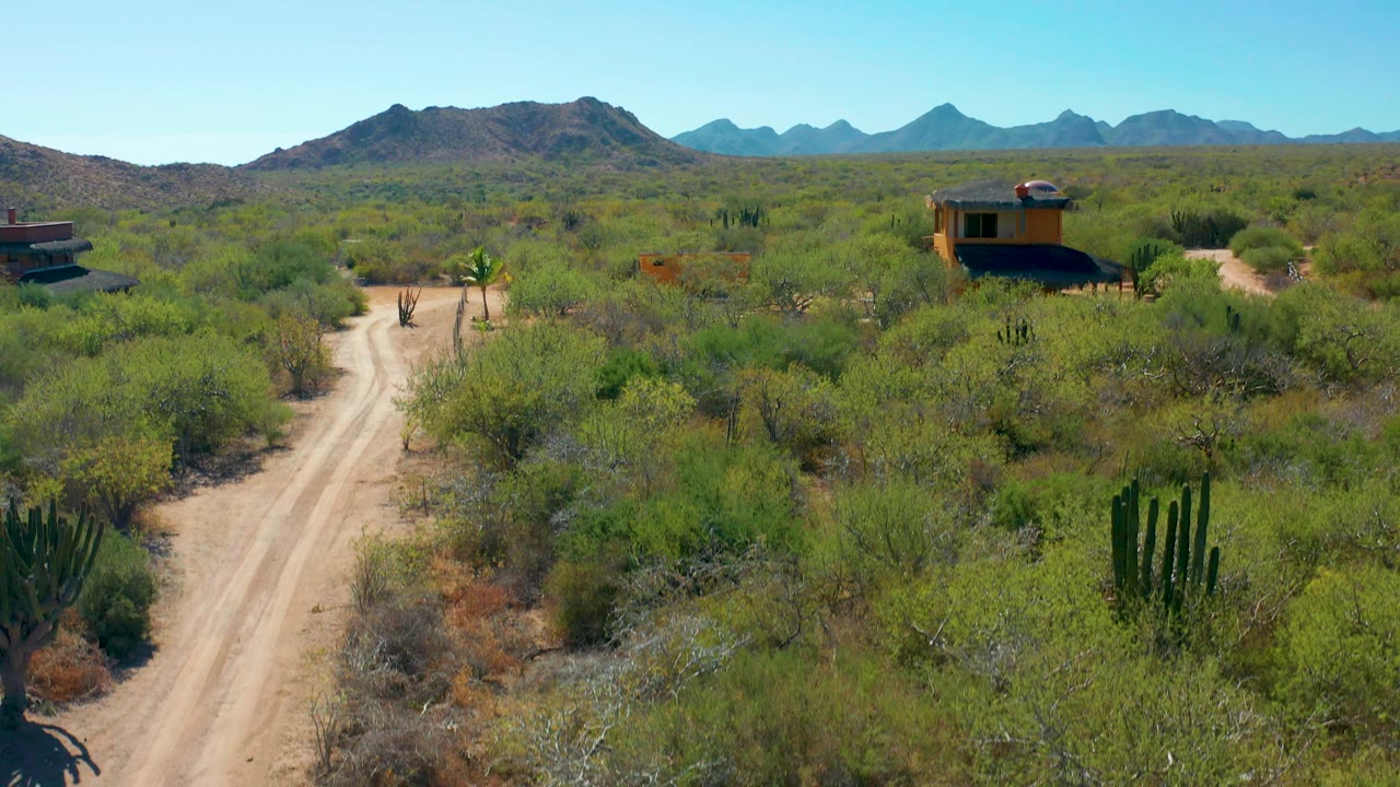 Cabo Pulmo aerial frame with a dirt track cutting through scrub, a cactus cluster near the lower right, a small yellow structure on the right side, distant rugged mountains, and no visible people.