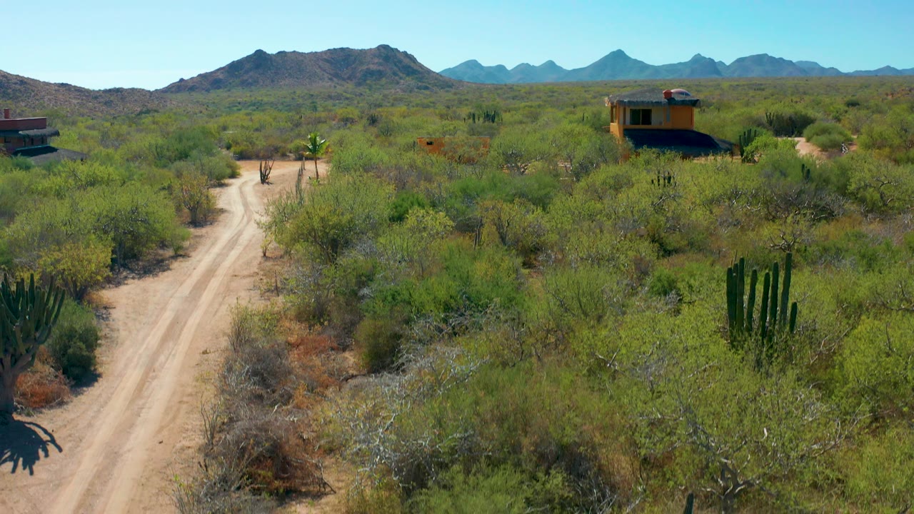 Wide aerial desert view with a dirt road, cacti, small buildings, and mountains.