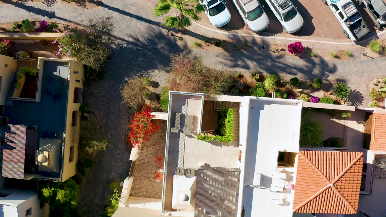 Overhead neighborhood frame with homes, a paved street, parked cars, and strong tree shadows.