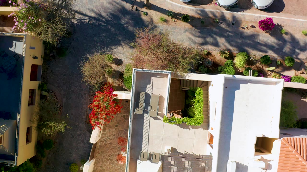 Aerial view of a patio, white roof, red flowers, and neighboring garden beds.