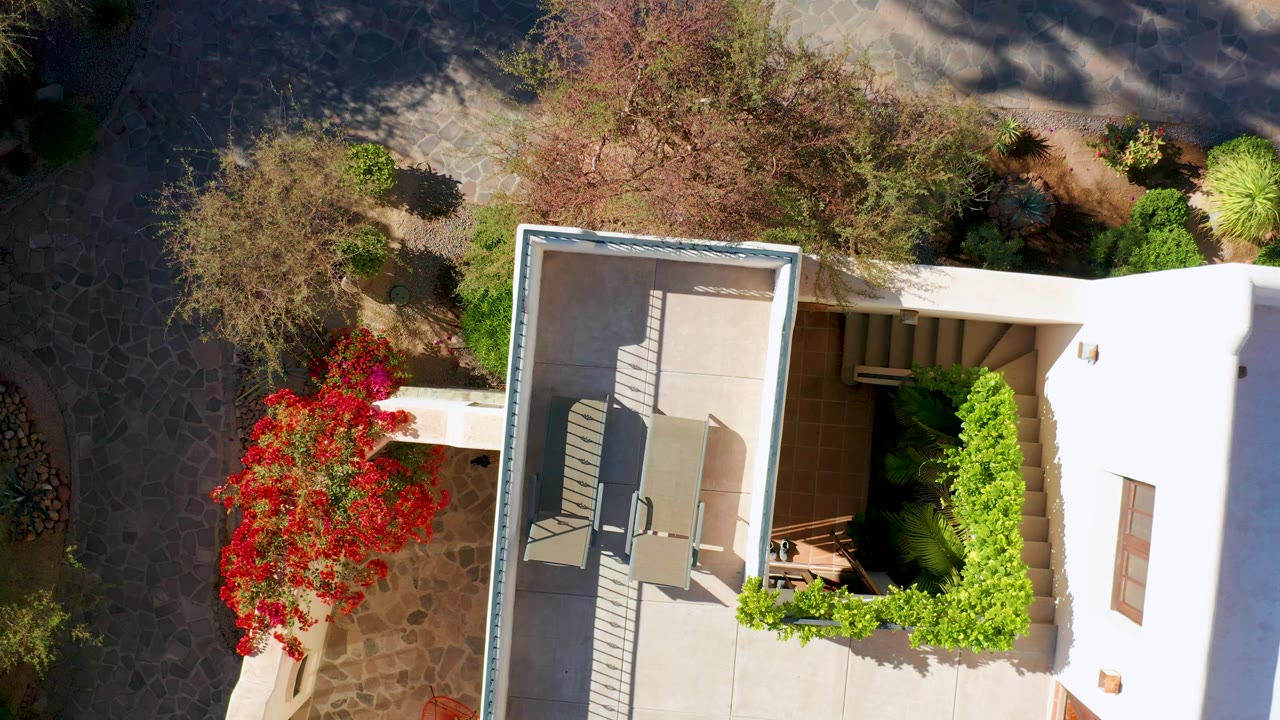 Top-down Loreto patio view with two chairs on a paved terrace, a green hedge along the wall, red flowering bush by the walkway, hard sunlight, and no visible people.