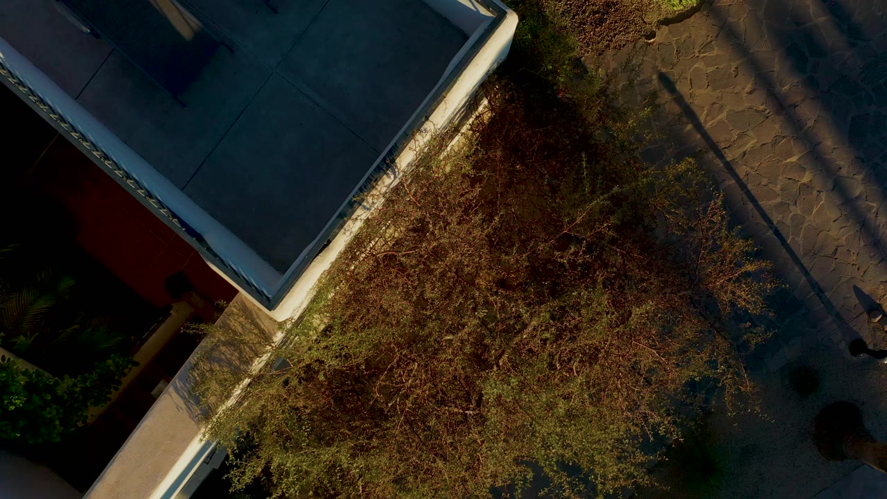 Aerial view of roof edge, tree branches, and stone paving.