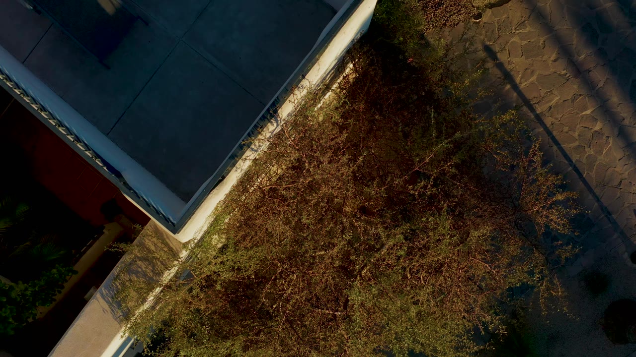 The Loreto aerial view shows the tree canopy spreading farther across the frame, with the flat roof corner at upper left, paving at right, and no visible people.