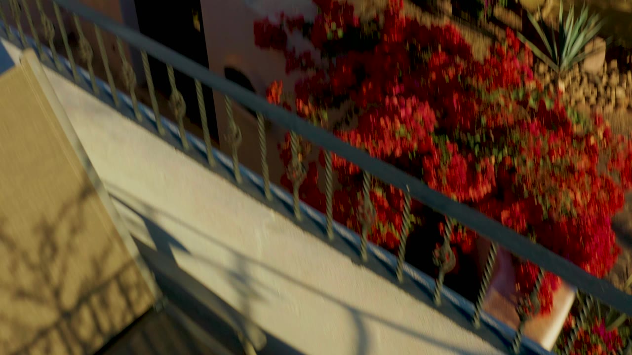 Railing and stucco wall beside bright red flowers and desert-style planting.