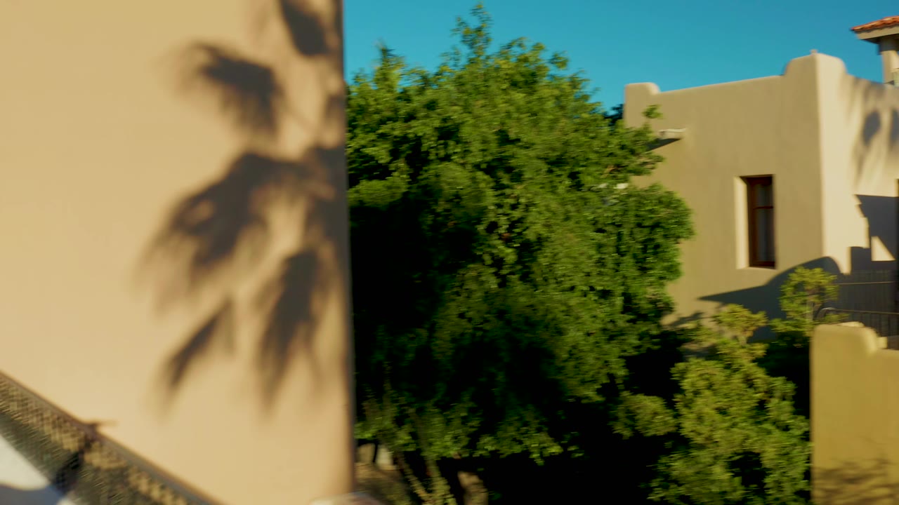 Beige stucco wall with a palm shadow, dense green trees, and a white building edge in Loreto, Baja California Sur, with no visible people.