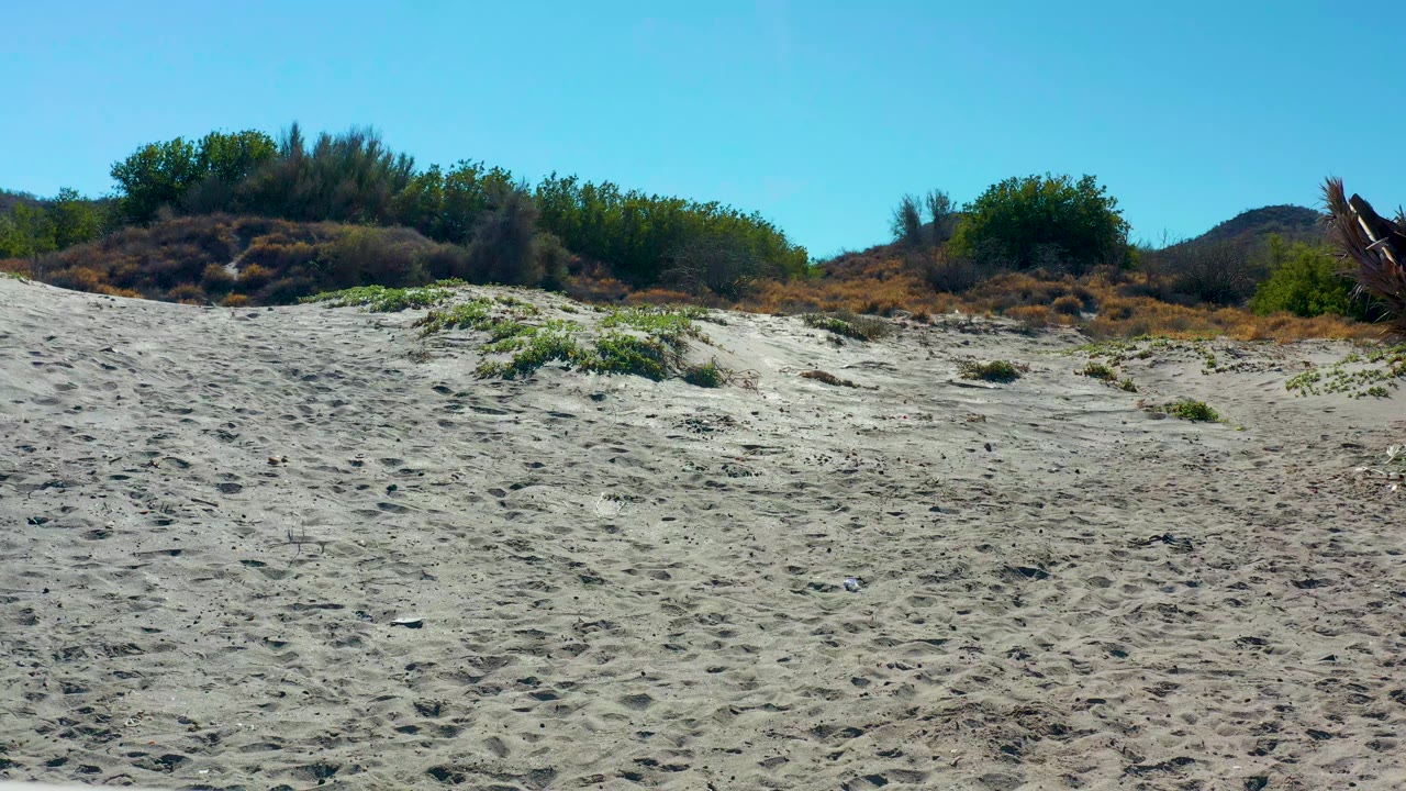 At 0:00 in Loreto, Baja California Sur, pale beach sand leads to low dunes with green and brown shrubs, distant hills, clear blue sky, and no visible people.