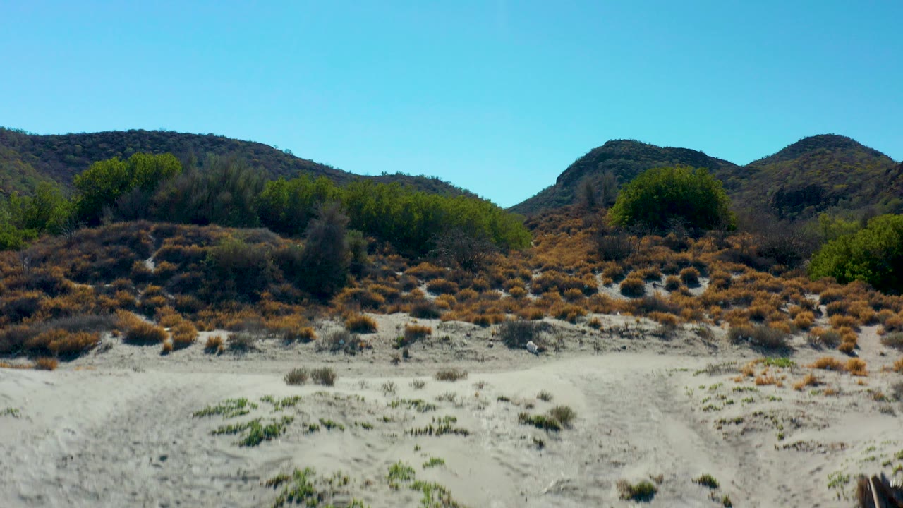Low sandy scrubland with hills under a clear blue sky.