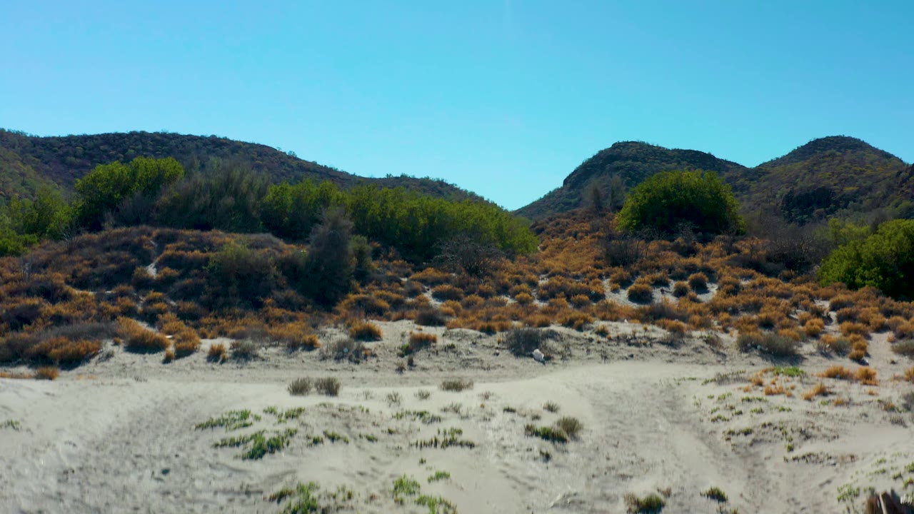 Sandy foreground with scattered brown shrubs and green bushes in Loreto, Baja California Sur, backed by two low hills and no visible people.