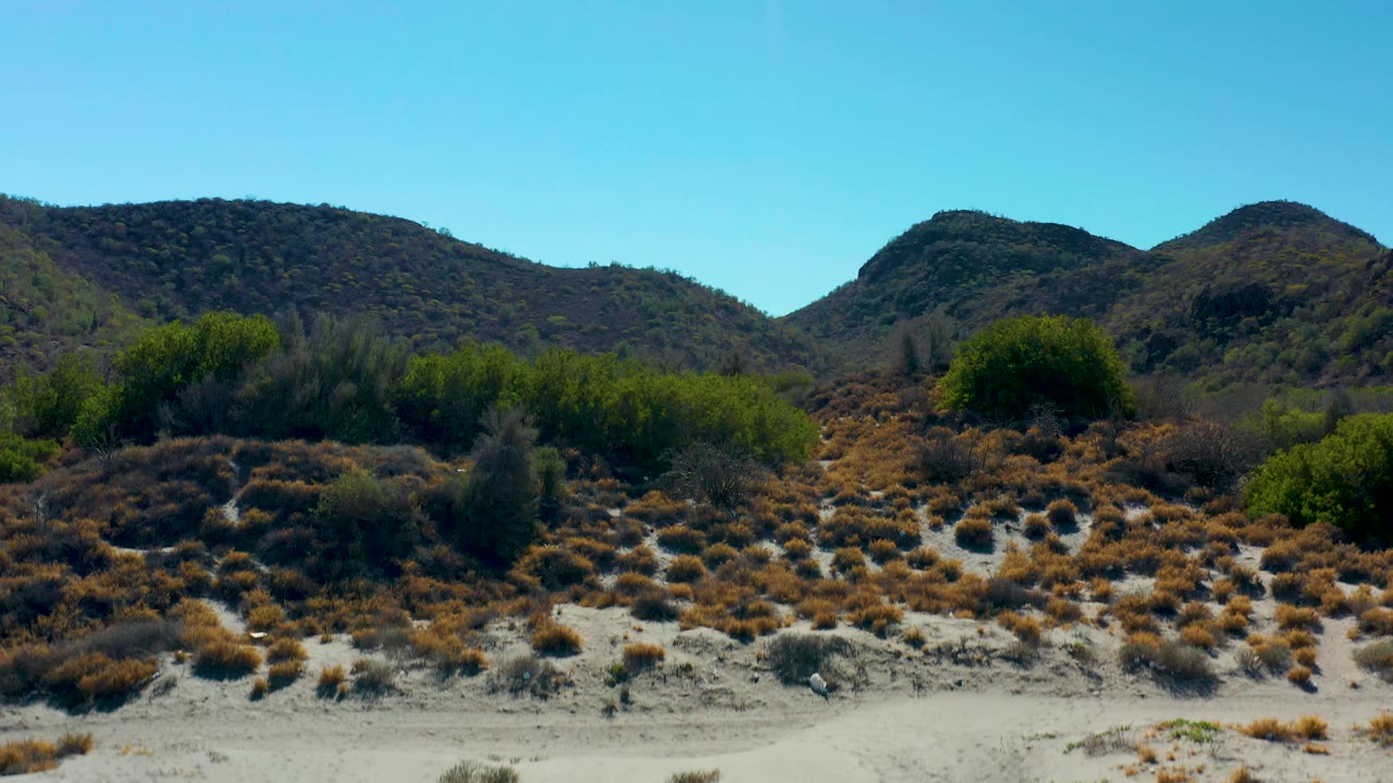 Dry scrub and green brush fill the lower frame in Loreto, Baja California Sur, with rounded hills rising behind them and no visible people.