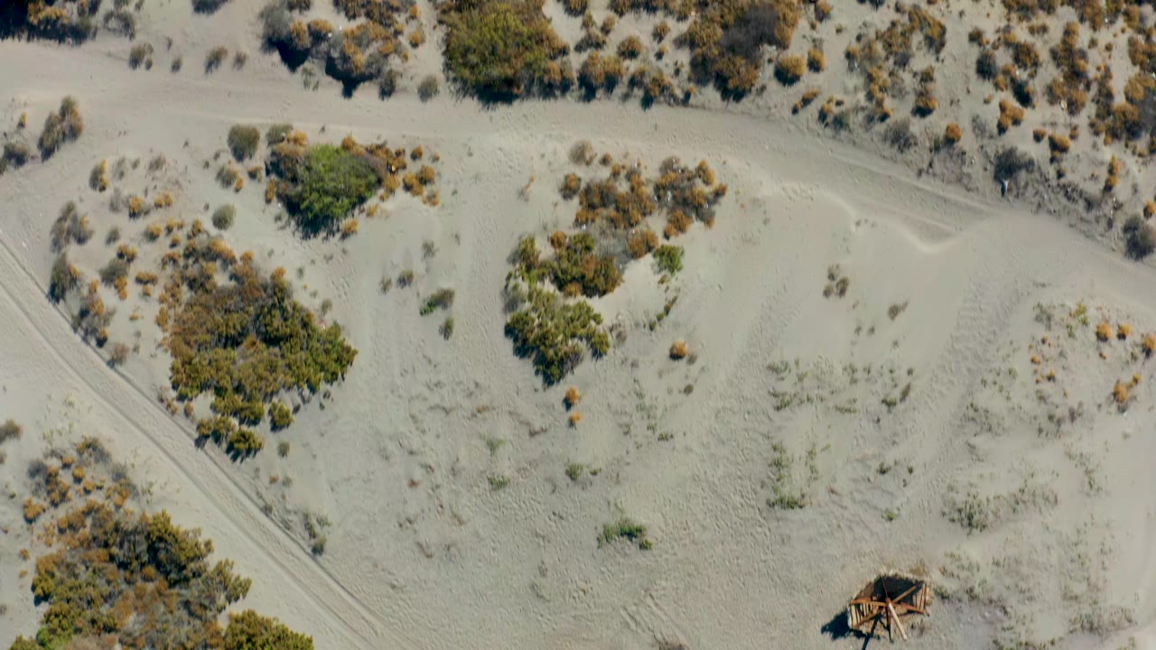 Aerial view of pale sandy dunes with sparse shrubs and winding tracks.