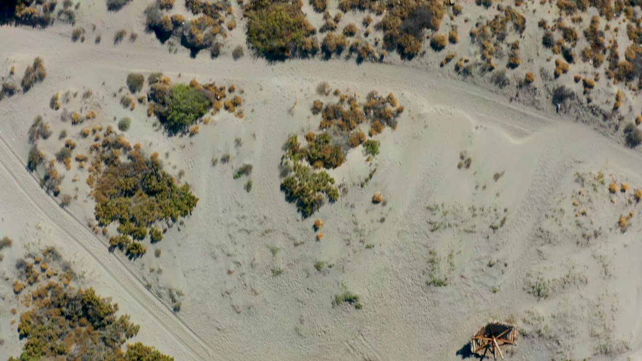 Overhead view of Juncalito dunes with scrub vegetation clustered between pale sandy paths, no visible people in the frame.