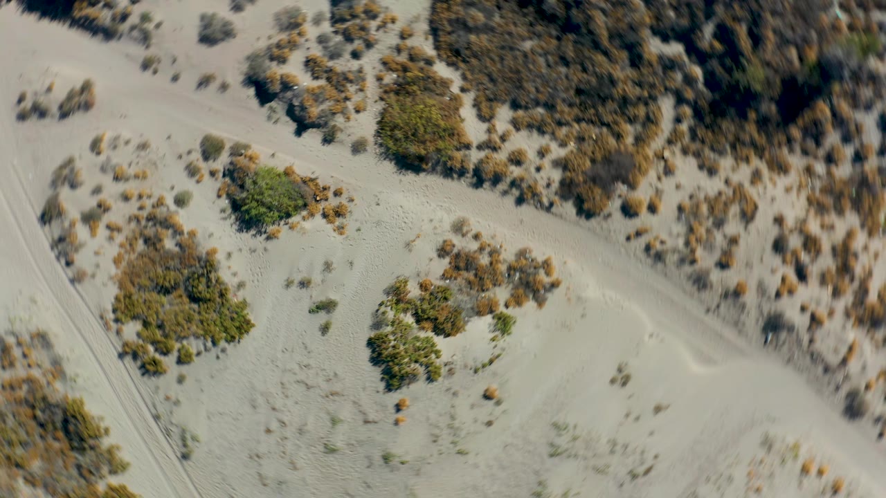Aerial view of sandy Juncalito terrain with low shrubs, curved tracks, and a small object near the lower edge, with no visible people.