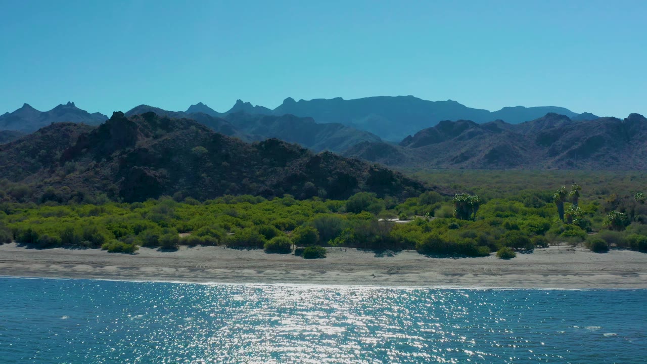 Coastal water with bright glare, sandy shore, dense green vegetation, and dark hills.