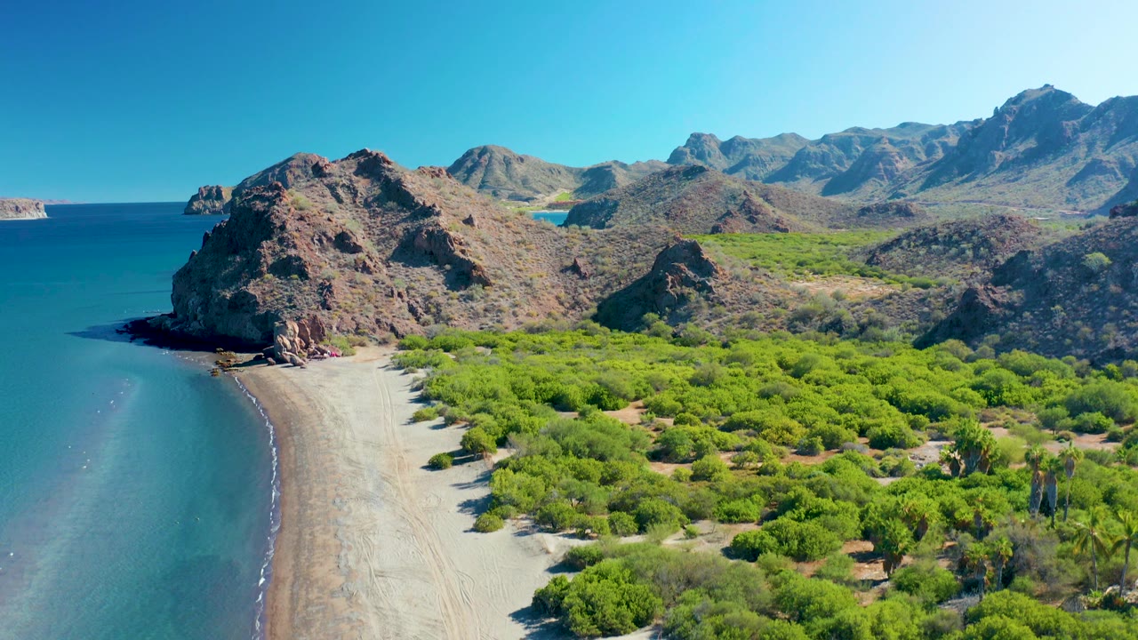 Rocky cliff and sandy beach seen from above with ocean at left and shrubs at right.