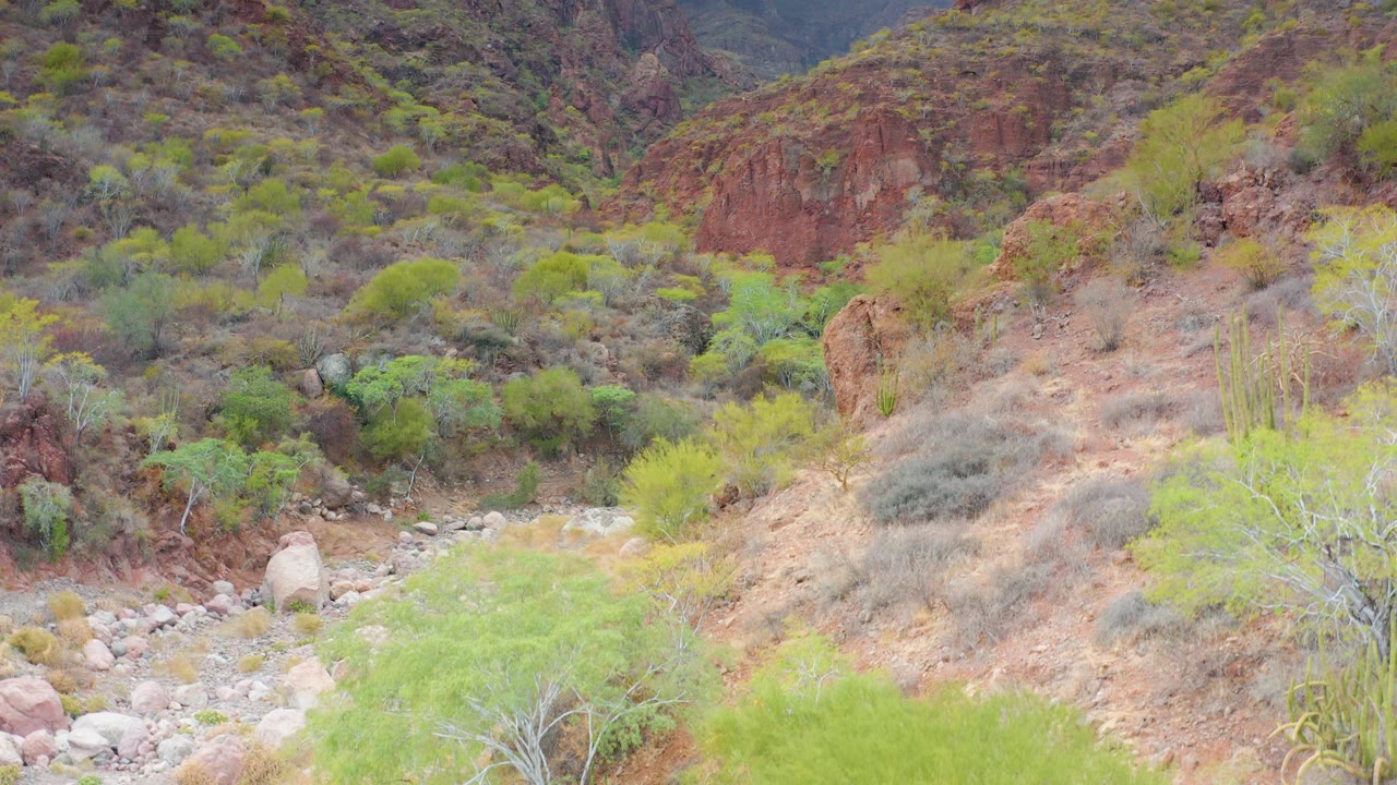 Puerto Escondido, Baja California Sur rocky valley with pale wash, scattered green shrubs, red hillside formations, and no visible people at the start of the clip.