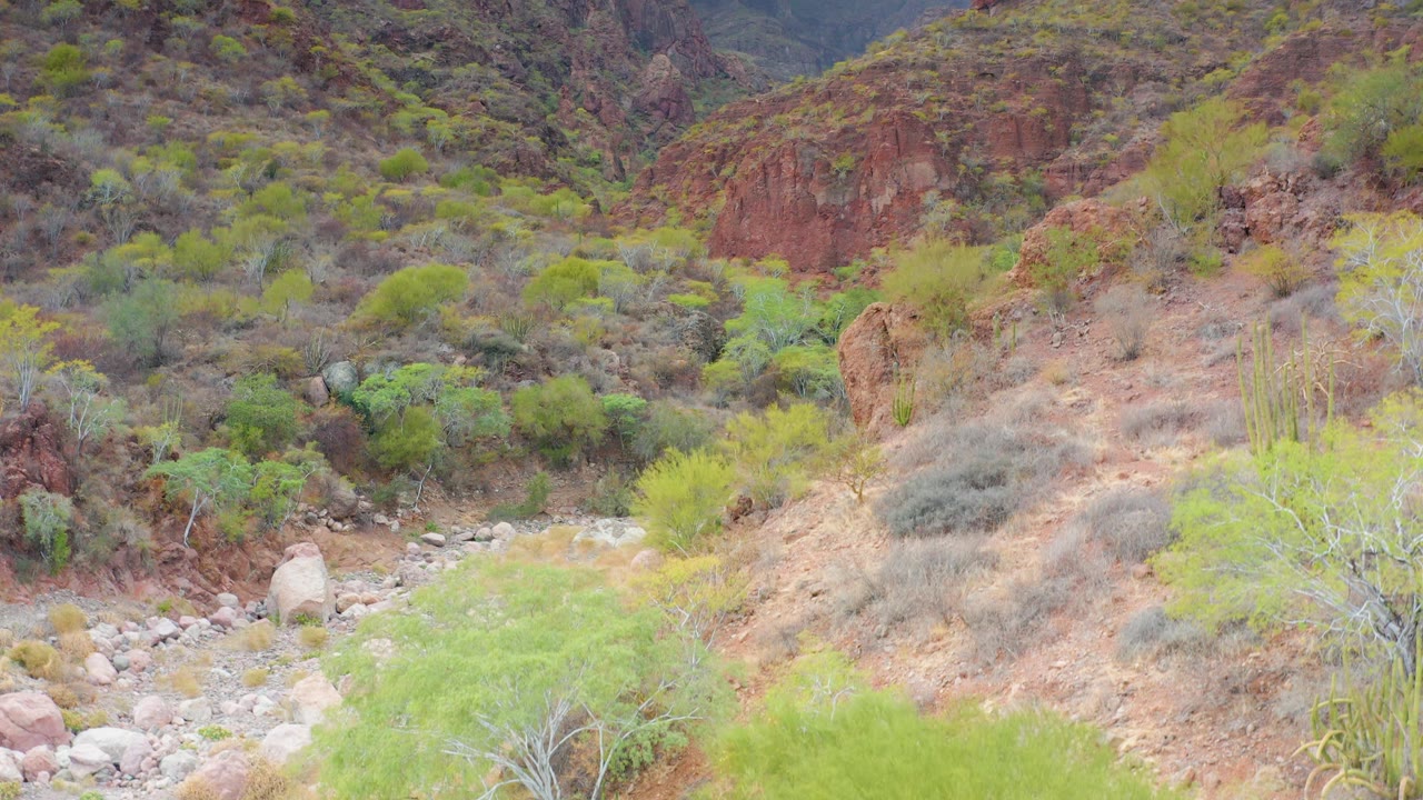 Puerto Escondido, Baja California Sur arid wash with rounded rocks, green shrubs across the lower slope, red-brown hillside, and no visible people.