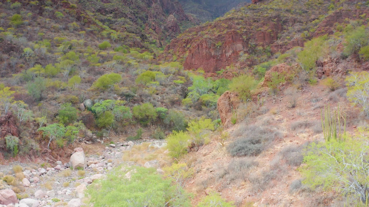 Puerto Escondido, Baja California Sur dry valley floor with scattered stones, cactus forms, pale green brush, red rock outcrops, and no visible people.