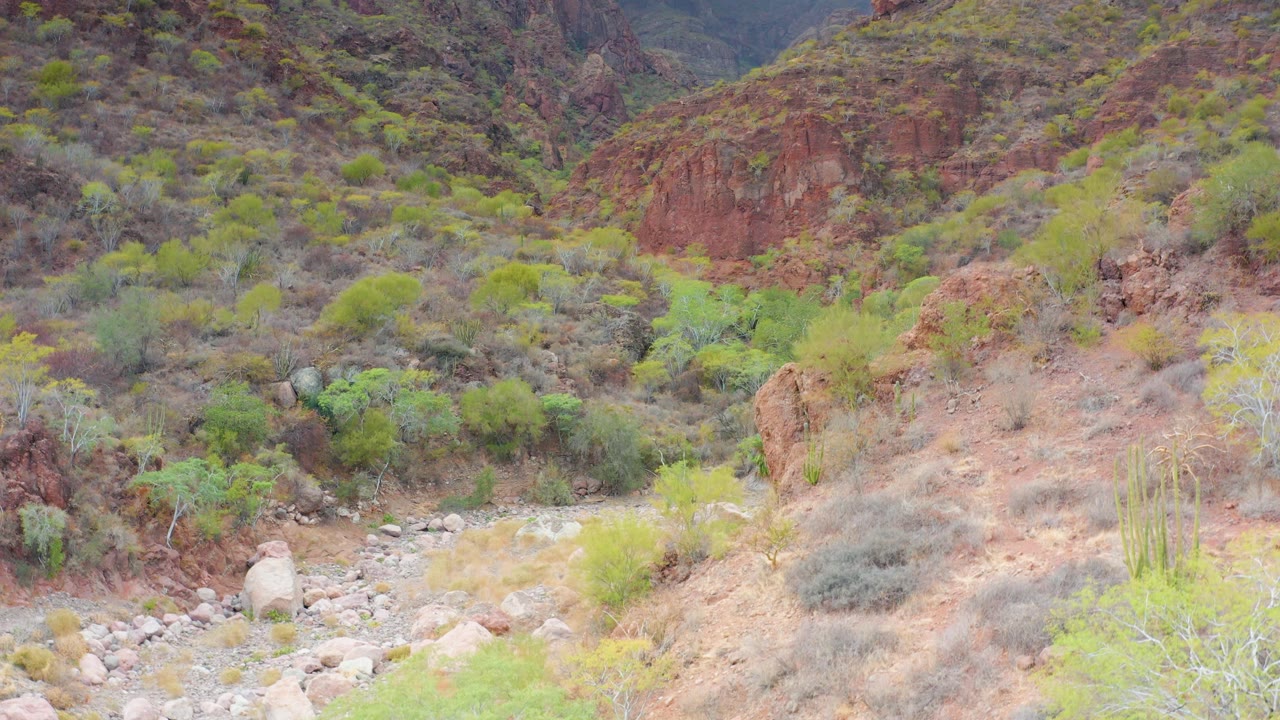 Puerto Escondido, Baja California Sur shrub-filled desert slope above a pale rocky wash, with red formations behind it and no visible people.