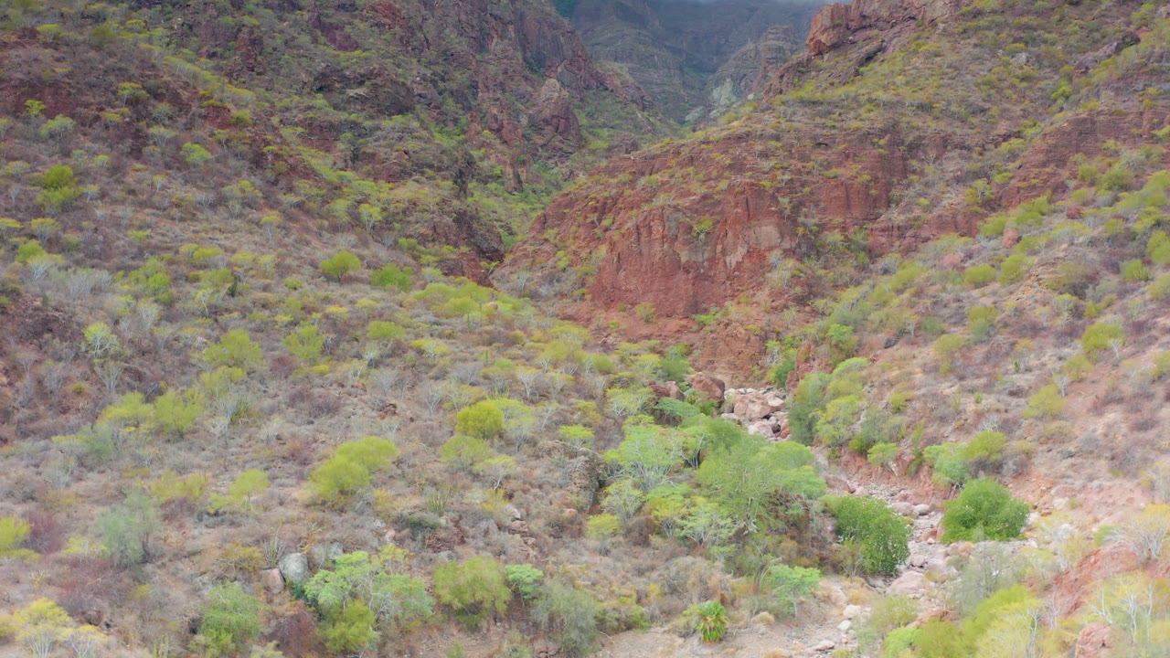 Puerto Escondido, Baja California Sur valley view with shrub-covered red and brown slopes, a narrow rocky wash, fog sitting on the upper peaks, and no visible people.