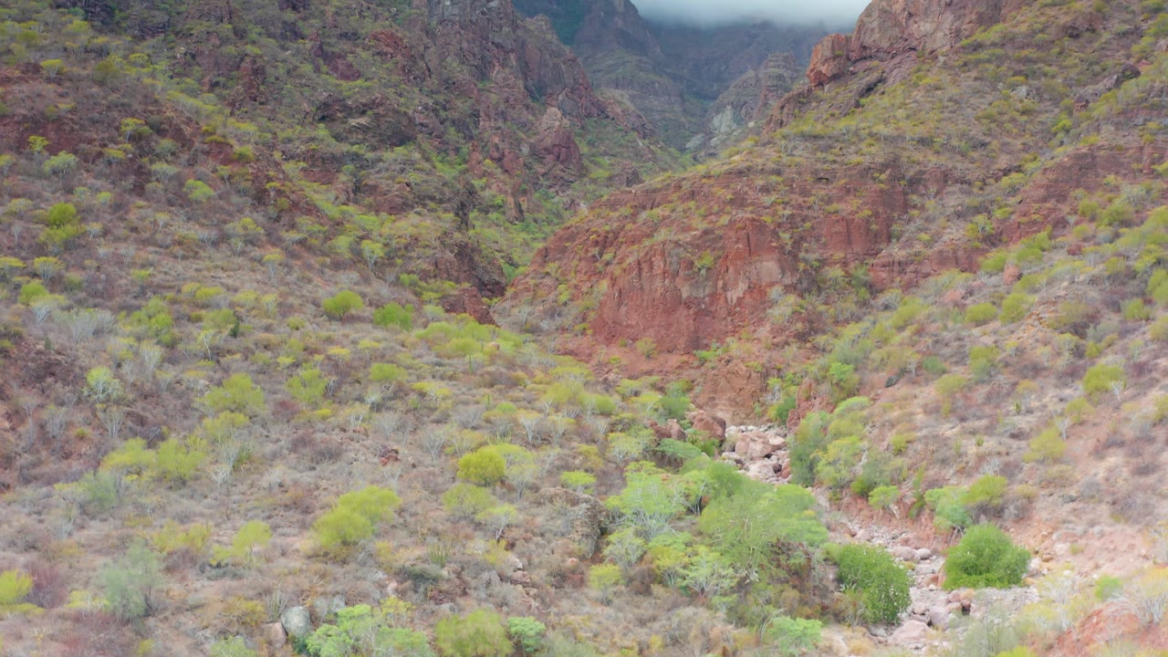 Puerto Escondido, Baja California Sur rugged valley with red cliff bands, muted green vegetation across the slopes, pale overcast sky, low cloud, and no visible people.