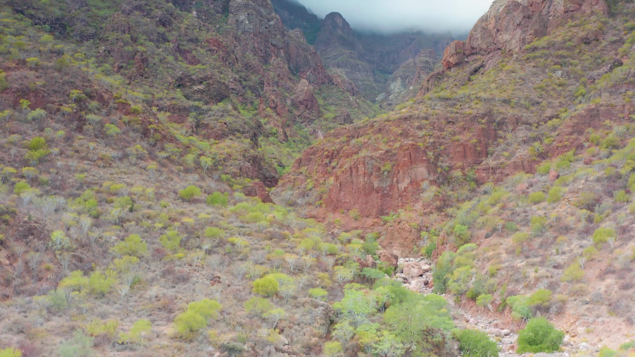 Puerto Escondido, Baja California Sur mountain valley where low cloud covers the upper ridge, with red rock slopes, green shrubs, dry terrain, and no visible people.