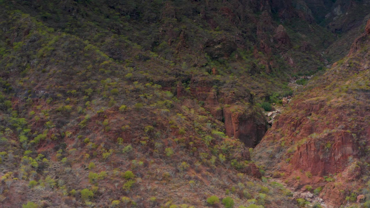 A rugged Puerto Escondido canyon wall fills the frame, with dark rock pockets, brush on the slopes, a rocky stream channel, and no visible people.