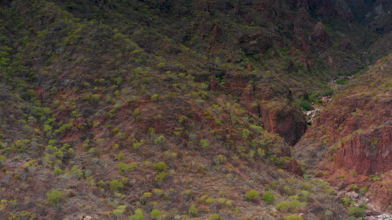 A brushy Puerto Escondido mountain valley fills the frame, with red rock walls, muted green shrubs, a narrow creek bed, and no visible people.