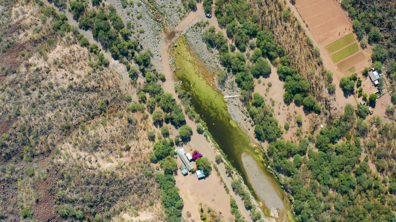 Aerial canal view beside trees and brown field plots.