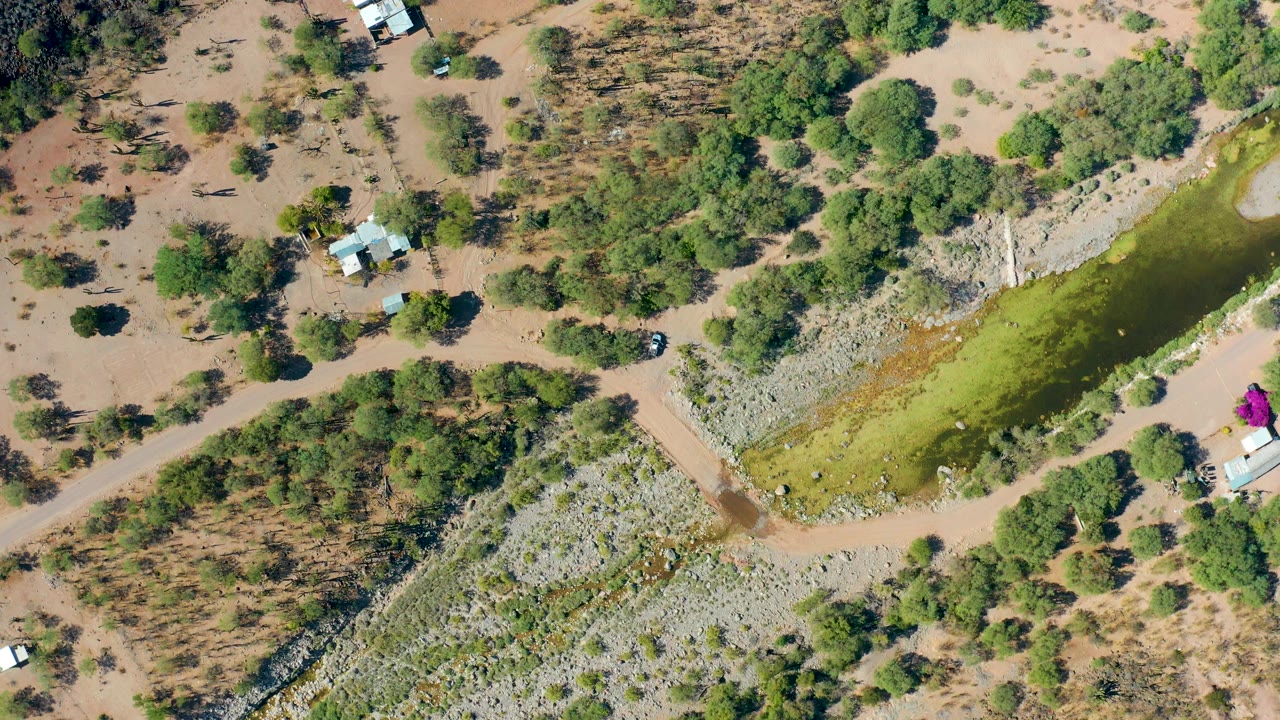 Top-down desert terrain with a green pond, road, trees, small buildings, and a car.