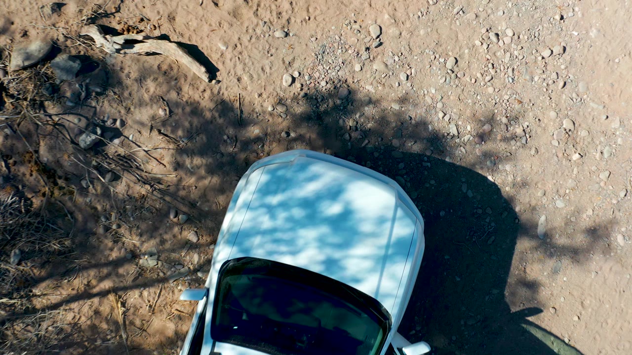 White car roof and windshield beside dry branches and rocks.