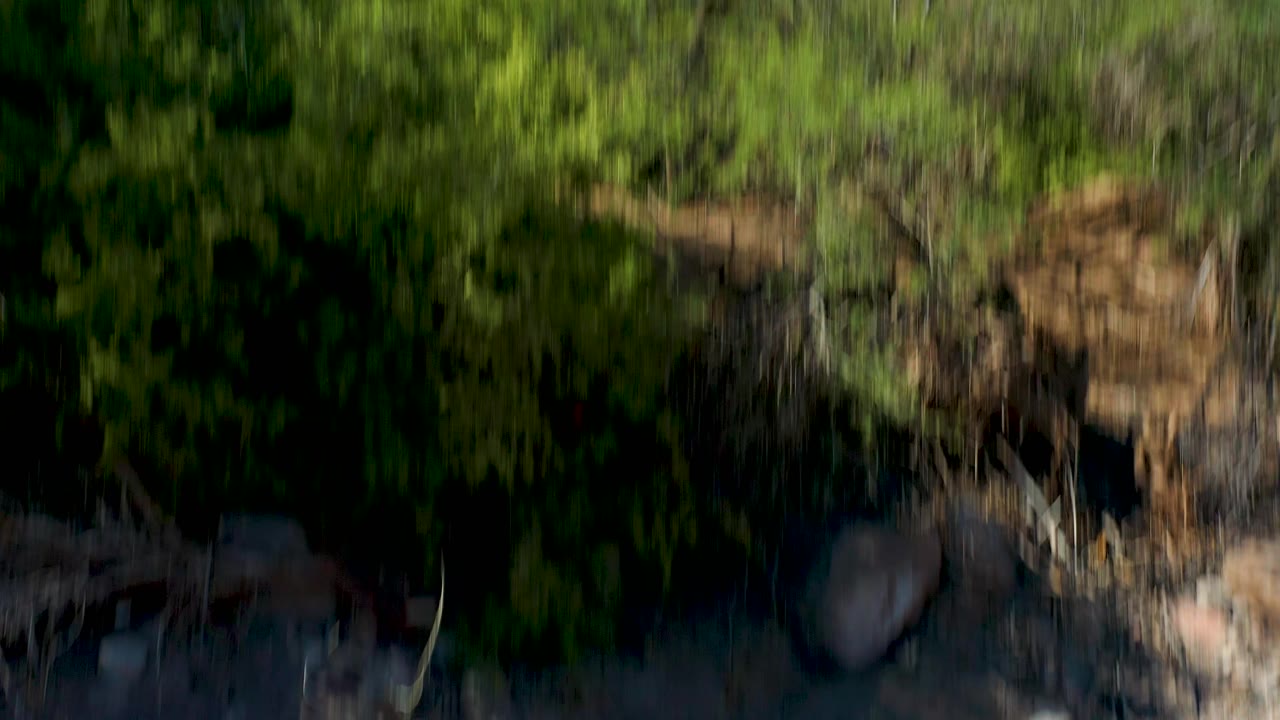 Blurred green shrubs and ground during camera shift