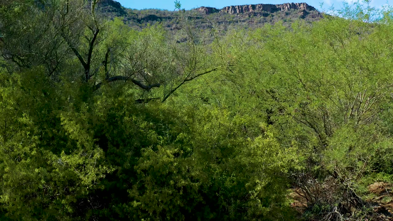 Dense green vegetation fills the lower San Javier view, with a rocky ridge stretching across the upper background under clear blue sky and no visible people.