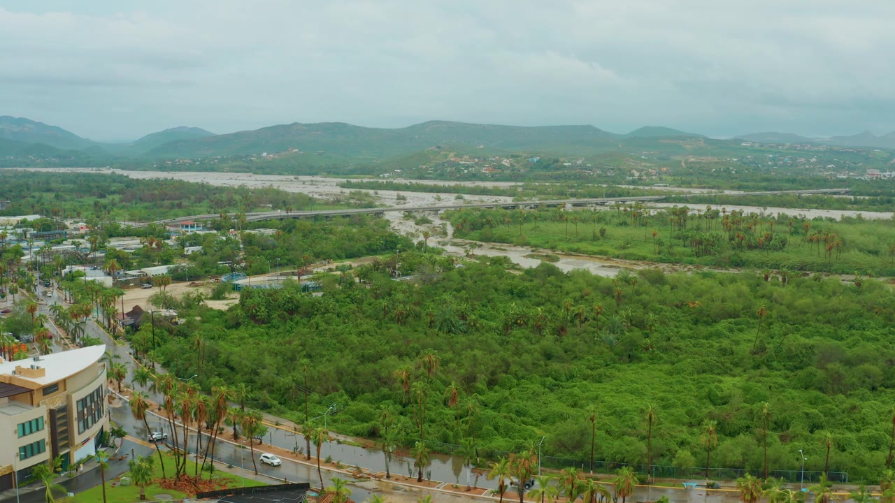 Aerial view in San Jose del Cabo, Mexico, with a palm-lined street and low building in the foreground, dense green terrain across the center, a pale wash beyond it, mountains in back, and no visible people.