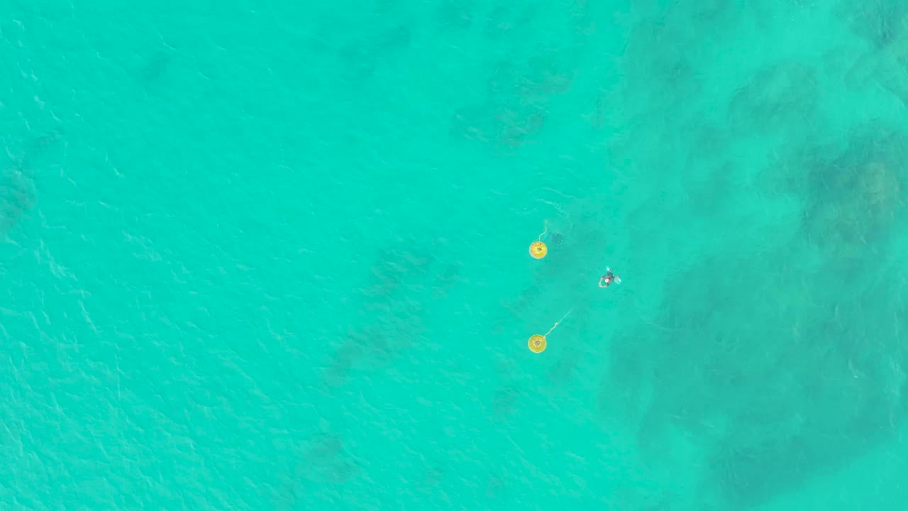 Overhead ocean frame with yellow buoys, swimmer, and underwater patches.