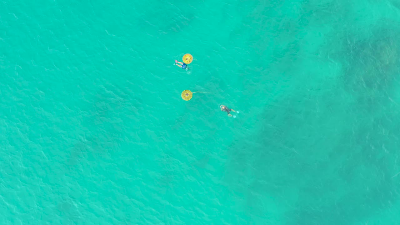 Two swimmers near yellow buoys in clear ocean water.